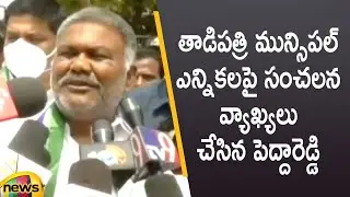 YCP MLA Pedda Reddy Sensational Comments On Tadipatri Municipal  Elections Result | Mango News