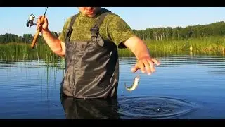Ловля окуня на вертушки