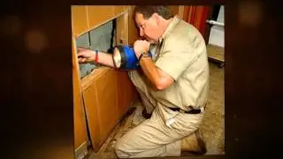 Exterminator | Pest Control | Phoenix Termite Inspection | (602) 753-0453