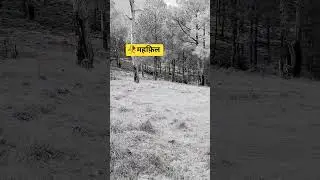 🥀Nida Fazli saab #urdupoetry #trendingshorts #nicevideo #shayari #aboutlife #youtubeshort❤️❤️❤️