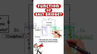 Function of Salt Bridge #salt #bridge #galvaniccell #function #electrochemistry #shortvideo #shorts