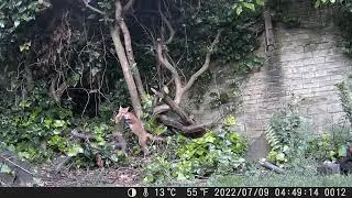 Coolife H953 Test 1