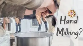 Hand Milking Instead Of Using The Machine? #shorts