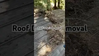 Roof Debris Removal by Losi Pro Wash!