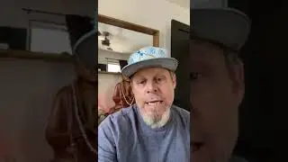 Moz Web Media | SEO company Chicago | Best SEO company Chicago