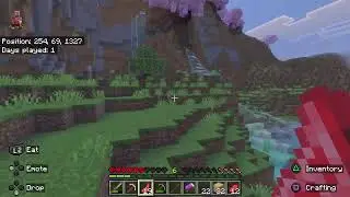 Live stream of Minecraft hardcore