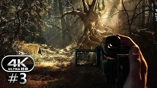 Blair Witch Gameplay Walkthrough Part 3 - PC 4K 60FPS No Commentary
