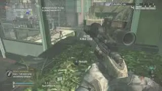 INSANE!! 2 Piece on a dog!