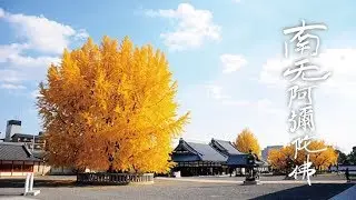南無阿彌陀佛（心培法師－自由調）