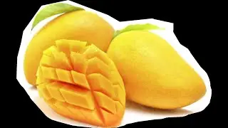 mango juice production line mango jam making machine