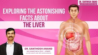 Exploring The Astonishing Facts About The Liver | Best Gastro Surgeon in Chennai
