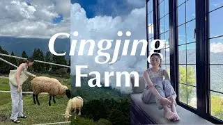 Taiwan Vlog| summer in Cingjing farm, tea egg obsession 🐑 清境/合歡山小旅遊| part 2