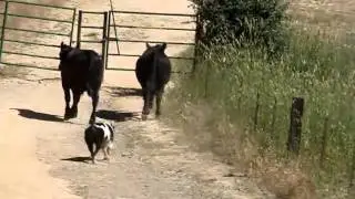 MOV04967