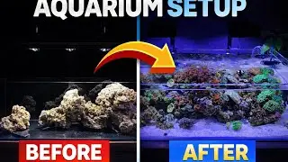 Aquarium Setup Transformation | BEFORE & AFTER Reef Tank Build