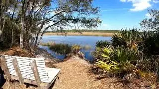 7 Creeks Preserve in Jacksonville FL 02/24/23