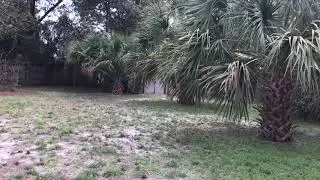1/3rd Acre Lot! Huge back yard!
