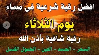 أفضل رقية شرعية في مساء يوم الثلاثاء لعلاج الحسد_السحر_العين _حفظ وتحصين للمنزل _القارئ علاء عقل