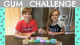 GUESS THE GUM FLAVOR CHALLENGE