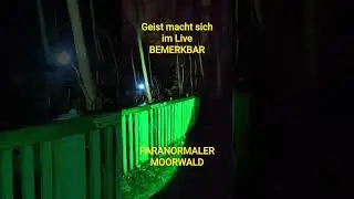 Paranormale Untersuchung im Geisterwald