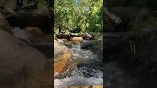 4 Minutes to Better Sleep Melatonin Flute 💤 #calmingsounds #relax #naturetranquility