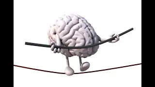 Brain Balancing Protocol