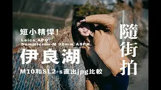 (字幕）伊良湖 Leica Summicron-M 90mmf2 w/Leica M10 & SL2-s 隨街拍