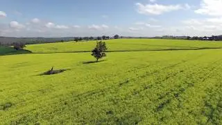 Scenic drives in and around Tamworth, The Capital of Country!