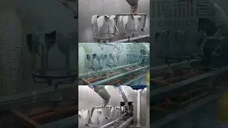 Fully Robotic Automatic Paint Spray Painting Line for Car Mirrors #automotive #paint #robot #pintura