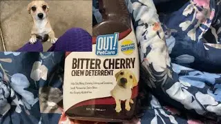 OUT! Bitter Cherry Chew Detergent Review