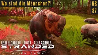 Wo sind die M&auml;nnchen?! | Stranded: Alien Dawn 07.62 | Saltu Jungle | Sehr Schwer