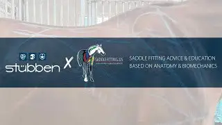 LET'S DRAW ANATOMY WITH AMANDA ANDERSON - SADDLEFITTING.US
