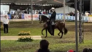 DESTELLO DE LOS ACANTOS & Alex Cano en Cartago 2025