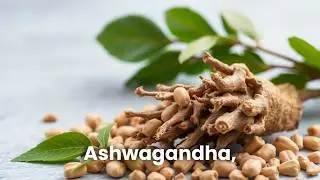 Ashwagandha Powerhouse Explained | Stress, Sleep, Energy & Brain Health