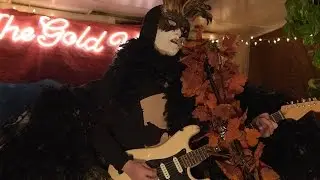 The Gold Web - Friends (Live from The Drake Motel)