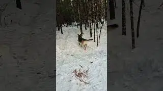 walking in the park lol