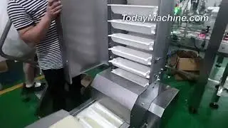 Stainless Steel Bucket Elevator Feed Machine Automatic Variable Frequency Speed Regulation Z type Bu