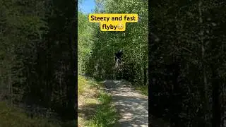 steezy and super fast mtb flyby🤯 #mtb #mountainbiking #mountainbike #shorts #ytshorts #youtubeshort