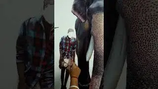 realistic elephant painting🎨🔥  #art #viral