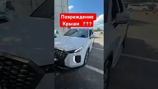 Как рейлинги спасают крышу авто! #russia #export #обзор #korea #palisade
