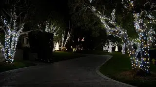 Winter Wonderland Christmas Lights | C&Uuml;LTIVATED