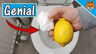 EXTREM unbekannt: 5 GENIALE Tricks, mit denen deine Toilette nie mehr stinkt 🚽✅