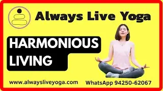 Online Meditation Classes I Always Live Yoga Online Interactive meditation Classes