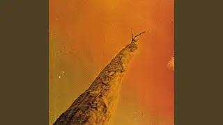 Quasar in T&eacute;leuta&icirc;