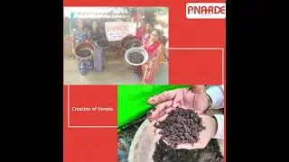 Vermicompost Training I Skill Development I  Pati Village, Navsari, Gujarat