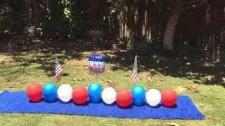 Twinkie , balloon popping dog celebrates