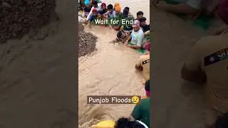 Punjab Floods Satluj River Today khabra #viral #shorts #trending #flood  #punjab #satluj #farming