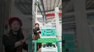 Sunfield color sorter and grader in rice milling industry #ricemill#farming #colorsorter #grader