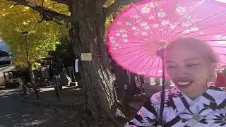 Exploring Sensoji Temple Part 4