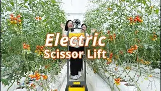 Greenhouse lift truck: Reach New Heights in Plant Cultivation