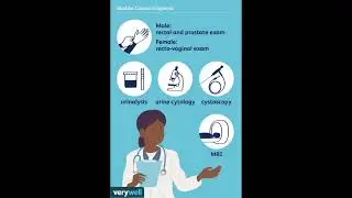 Bladder Cancer Diagnostic Test